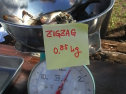 RIMG0031.jpg