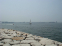 20100815-01.jpg