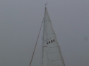 RIMG0519.jpg