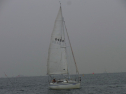 RIMG0521.jpg