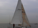RIMG0529.jpg