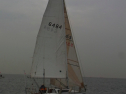 RIMG0530.jpg