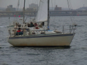 RIMG0535.jpg