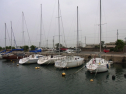 RIMG0548.jpg