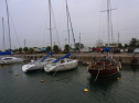 RIMG0550.jpg