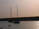 RIMG0563.jpg