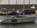 RIMG0565.jpg