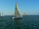 P1060089.jpg