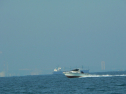 P1060130.jpg