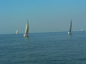 P1060143.jpg
