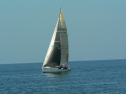 P1060146.jpg