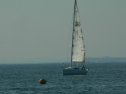 P1060151.jpg