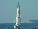 P1060157.jpg