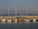 RIMG0571.jpg