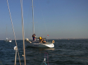 RIMG0583.jpg