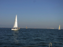 RIMG0584.jpg
