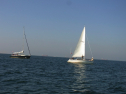 RIMG0585.jpg