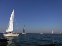 RIMG0587.jpg