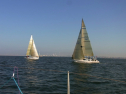 RIMG0589.jpg