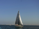 RIMG0594.jpg