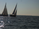RIMG0596.jpg
