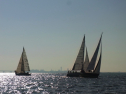 RIMG0597.jpg