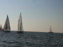 RIMG0601.jpg