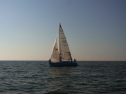 RIMG0608.jpg