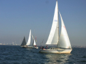 RIMG0616.jpg