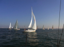 RIMG0617.jpg