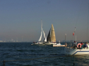 RIMG0619.jpg