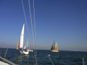 RIMG0620.jpg