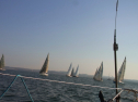 RIMG0629.jpg