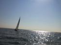 RIMG0634.jpg