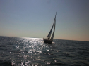 RIMG0635.jpg