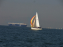 RIMG0637.jpg