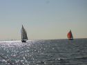 RIMG0639.jpg