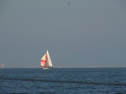 RIMG0643.jpg
