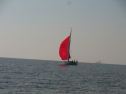RIMG0644.jpg