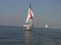 RIMG0645.jpg