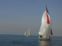RIMG0647.jpg