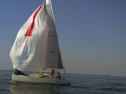 RIMG0648.jpg