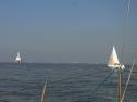 RIMG0650.jpg