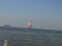 RIMG0651.jpg