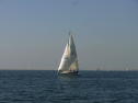 RIMG0658.jpg