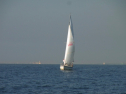 RIMG0659.jpg