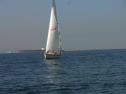 RIMG0660.jpg