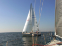 RIMG0661.jpg