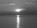 RIMG0667.jpg