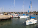IMG_3149.jpg